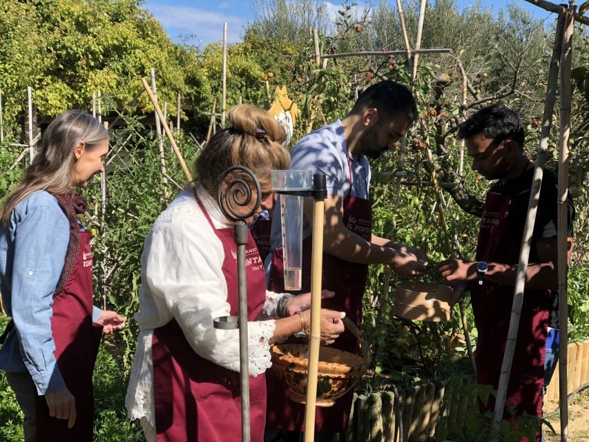Paciano: Organic Cooking Class at a Farm with Lunch & Wine - What you can expect to learn (the useful take-home part)
