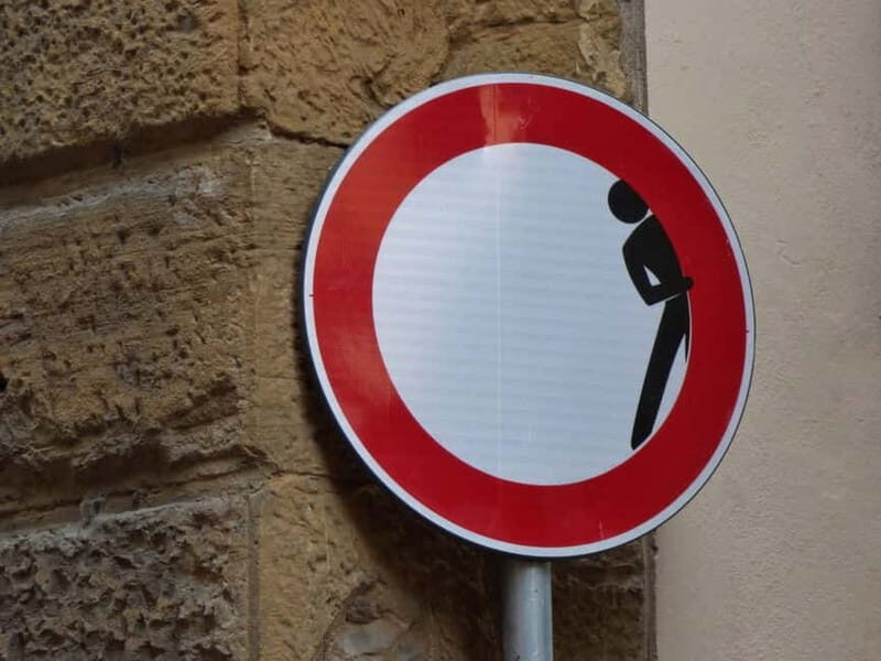 Panoramic walking tour in Florence with Vincenzo - CLET Street Art and Contemporary Florence in the Middle of the Old City