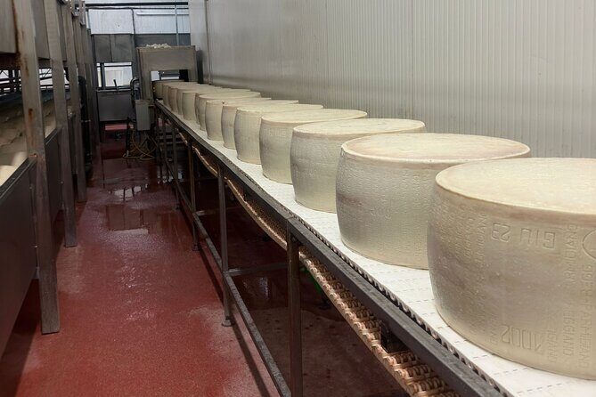 Parmesan and Balsamic Food Tour with Ferrari Museum - Stop 2: Castelvetro di Modena Traditional Balsamic Vinegar PDO