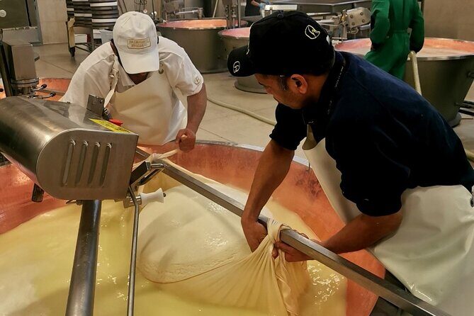 Parmigiano Wine and Balsamic Vinegar Experience from Bologna - The small-group format (max 12) and why it matters