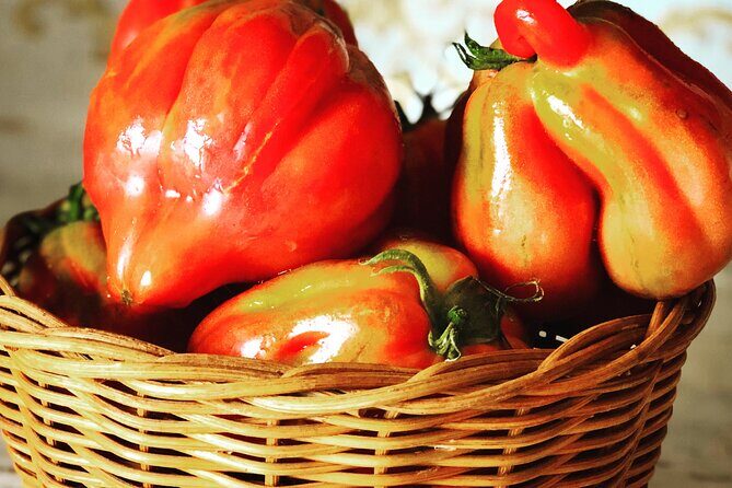 Pasta and Pizza cooking class in Cortona - Who should book this Cortona pasta and pizza class?