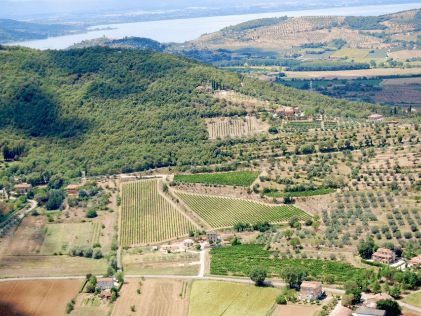 Perugia Winery Visit & Tasting near the Lake Trasimeno - Sustainability and Terroir: Why Organic Farming Shows Up in the Story