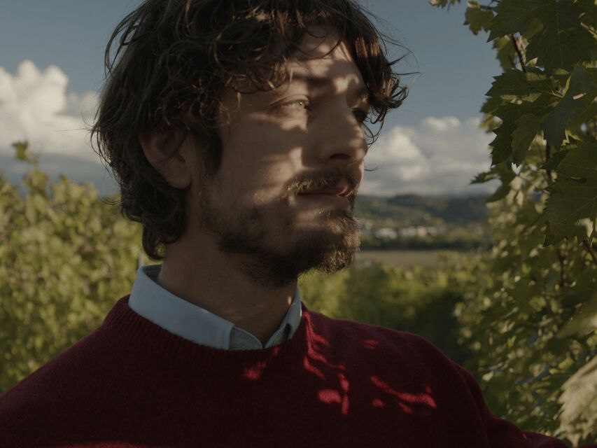 Perugia Winery Visit & Tasting near the Lake Trasimeno - Price Check: Is $55.80 Good Value?