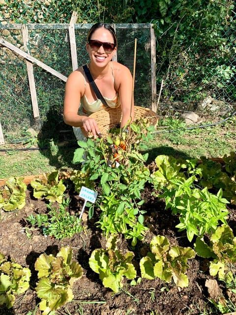 Pick Vegetables at the farm & Cook pasta - From Moka Coffee to Vineyards in Chianti Classico