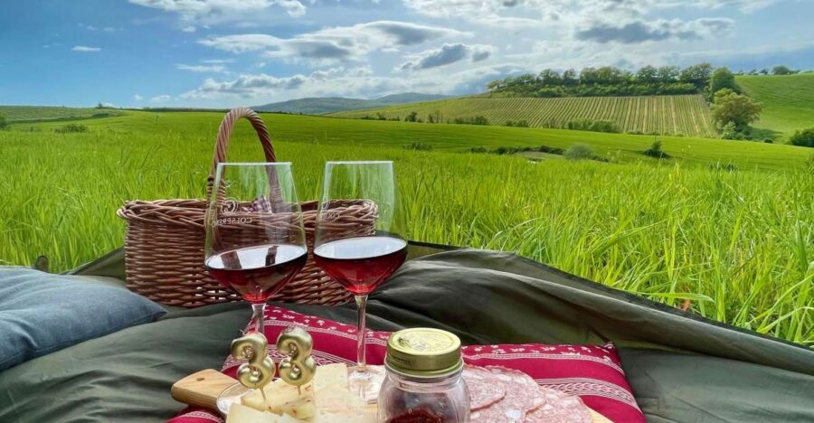 Picnic in the organic vineyards of Brunello - Wine in the Mix: What You Should Expect (and What to Confirm)