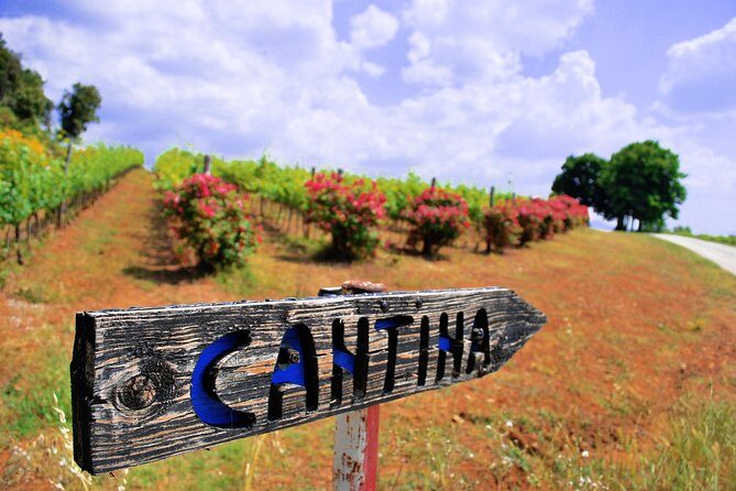 Pienza, Montalcino, Brunello Wine and Pecorino Cheese PRIVATE TOUR from FLORENCE - Capanna di Cencioni winery stop: what a 1-hour tasting really gives you