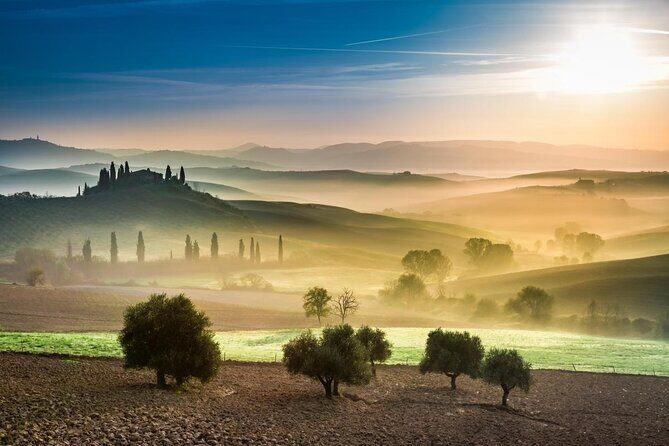 Pienza, Val d'Orcia, Montalcino wine and Pecorino cheese PRIVATE TOUR from SIENA - Key highlights worth your time