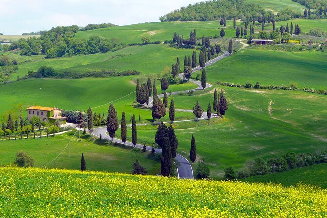 Pienza, Val d'Orcia, Montalcino wine and Pecorino cheese PRIVATE TOUR from SIENA - Why this Siena-to-Val d’Orcia day feels personal