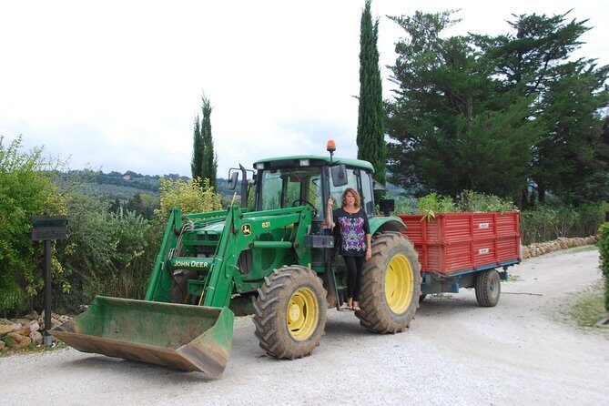 Pienza, Val d'Orcia, Montalcino wine and Pecorino cheese PRIVATE TOUR from SIENA - UNESCO backroad viewpoints: where the photos actually happen