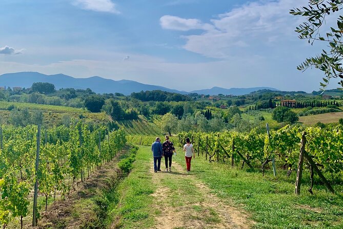 Pisa and Lucca Tour from Florence - How the Timing Works in an 8-Hour Day (So You Don’t Feel Rushed)