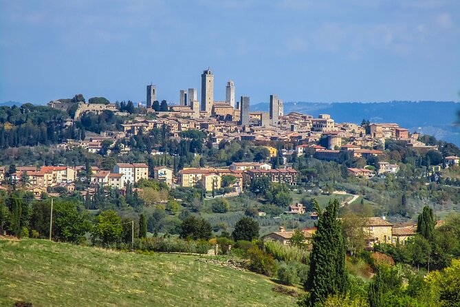 Pisa and San Gimignano Tour from Florence - Lunch and Wine: How to Handle the Not-Included Part