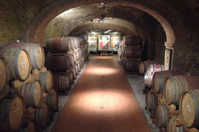 Pisa and Wine Tasting in Tuscany from Livorno - Who should book this Pisa and wine tasting day