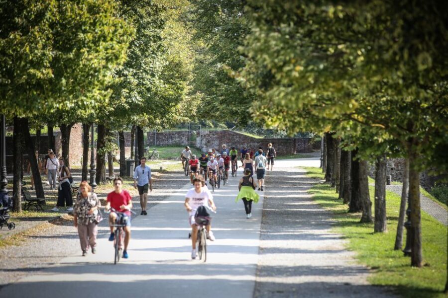 Pisa: Self-Guided Bike Tour to Lucca - Return options that keep your day flexible