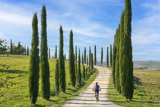 Pisa, Siena and San Gimignano Day Trip with Lunch & Wine Pairing - Winery Lunch in the Chiantigiana Hills With Wine Pairing