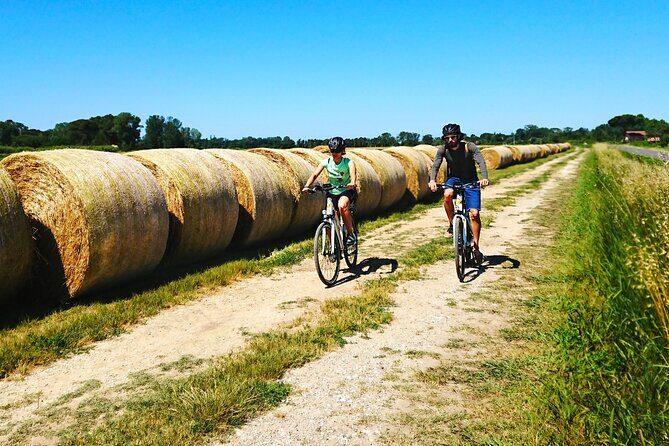 Pisa to Lucca Self-Guided Bike Tour Along the Puccini Trail - Finish along the Serchio River at Parco Fluviale del Serchio