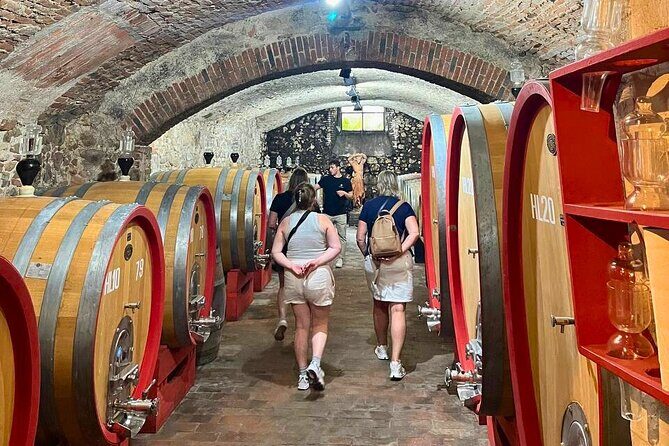 Pisa, Vinci, Tuscany, Wine tasting all in one day! - Small Group - Piazza dei Miracoli: making the most of your time in Pisa