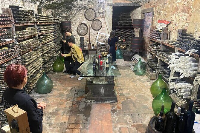 Pisa, Vinci, Tuscany, Wine tasting all in one day! - Small Group - Should you book the Pisa, Vinci, and wine tasting day?