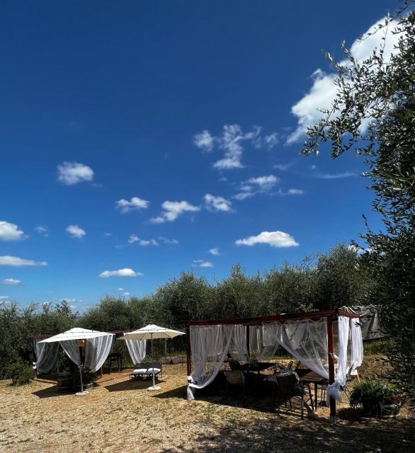 Pisa: Winery Tour and Wine Tasting with Local Food Pairing - Key highlights worth planning for