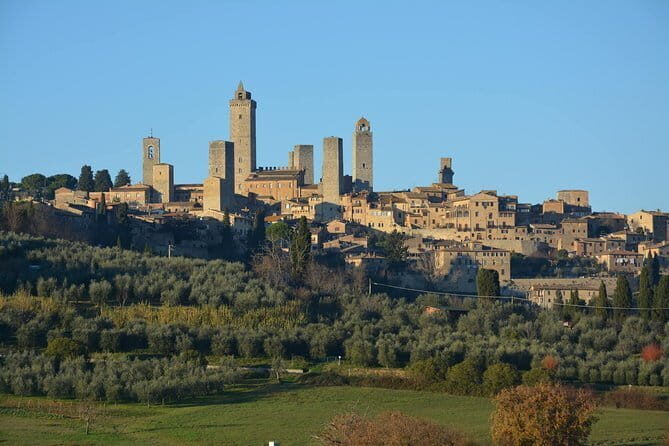 Pitti Palace and Boboli Gardens Private Tour - Price and logistics: what you’re really paying for