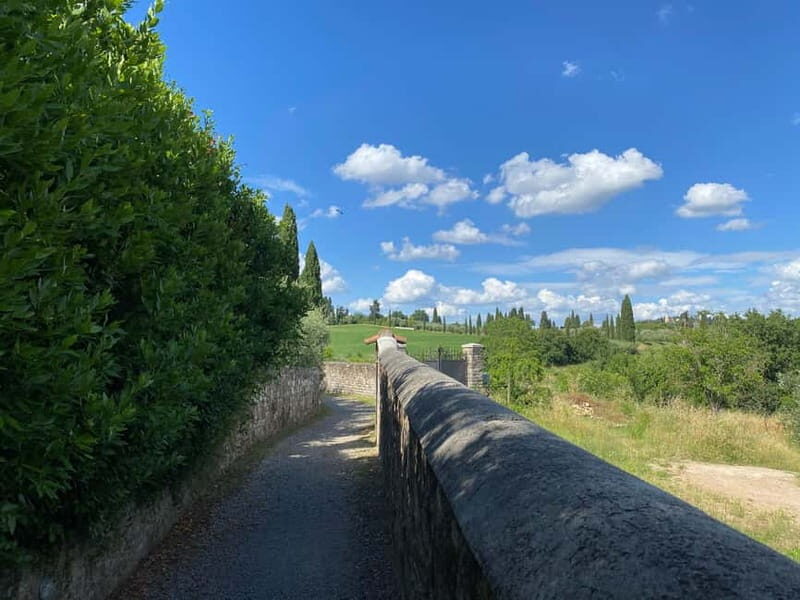 Premium Chianti E-Bike Tour, Food Wine Tasting + Photo shoot - Starting in Florence: Piazza Ognissanti to Piazzale Michelangelo
