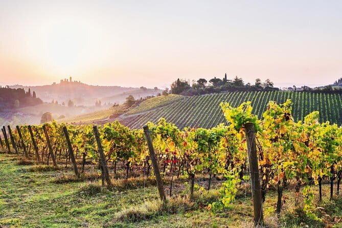 Private Best of Tuscany Hill Towns Tour with lunch from Florence - Leaving Florence at 8:00: The Easy Start That Sets the Tone