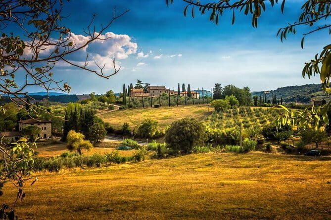 Private Carmignano Tour: The First Cabernet Sauvignon in Tuscany - Key highlights worth planning for