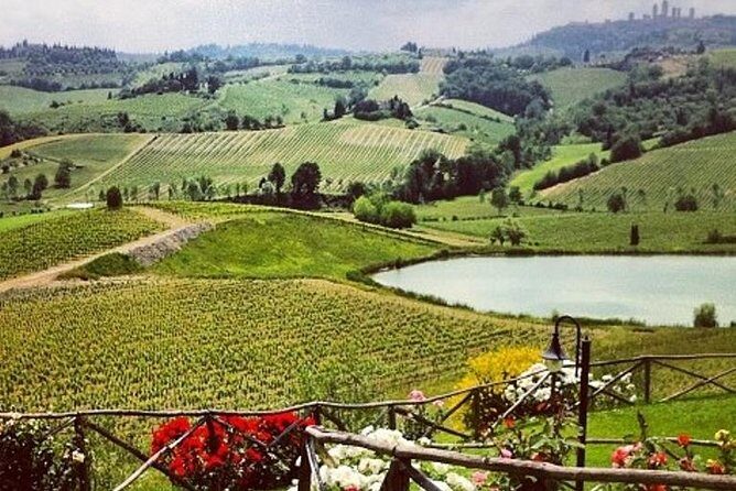 Private Chianti Classico Tour with wine and food tasting in a Historic Estate - Key things that make this Chianti tour work