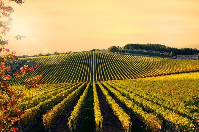 Private Chianti Classico Tour with wine and food tasting in a Historic Estate - Private guiding personalities: why the people matter here