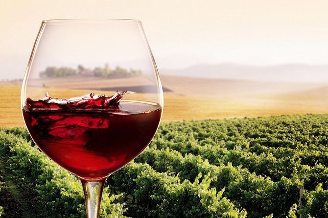 Private Chianti Classico Tour with wine and food tasting in a Historic Estate - Who this Chianti Classico private tour is best for