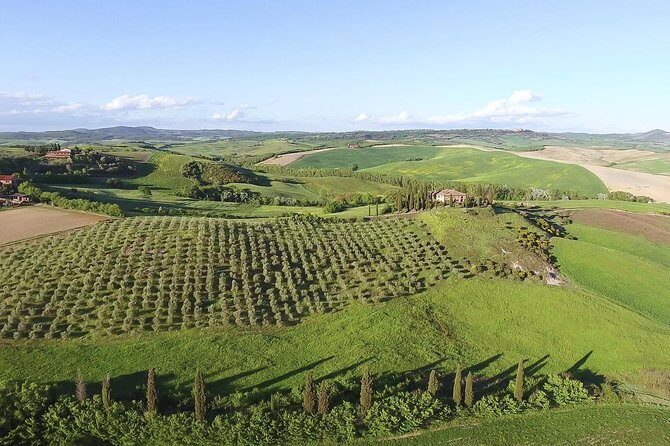 Private Chianti Classico Tour with wine and food tasting in a Historic Estate - Quick planning tips so the day goes smoothly