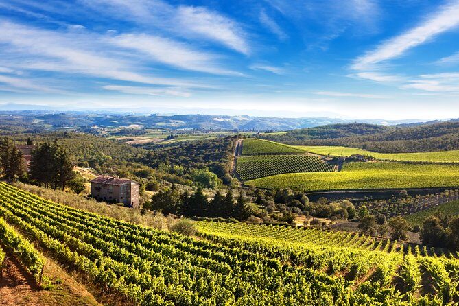 Private Chianti Classico Tour with wine and food tasting in a Historic Estate - From vineyard rows to historical cellars: the winery portion that does the heavy lifting