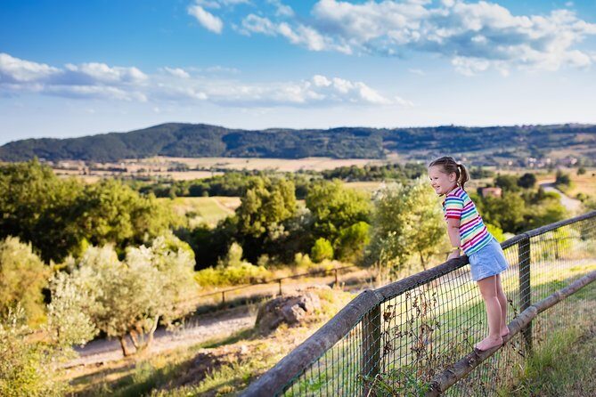 Private Chianti Tuscany Wine Tasting Tour from Florence - The Chiantigiana Drive: A Road Trip Through Strada Statale 222