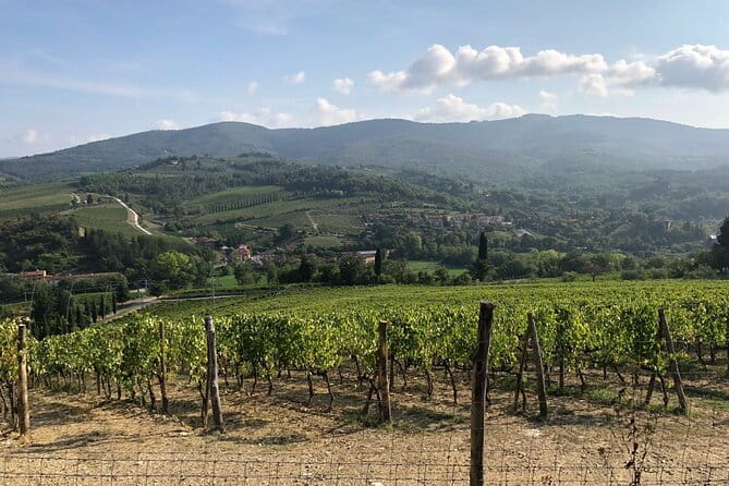 Private Chianti Wine Tasting from Florence, Half Day Experience - How the private Chianti day flows from Florence