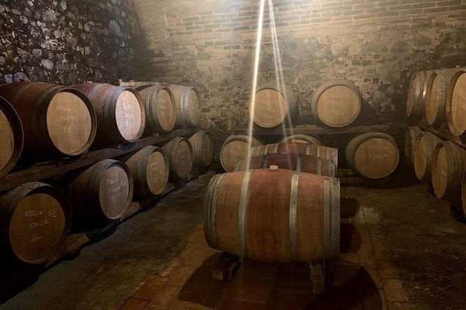 Private Chianti wine tour - Two Wineries, One Day of Real Tasting
