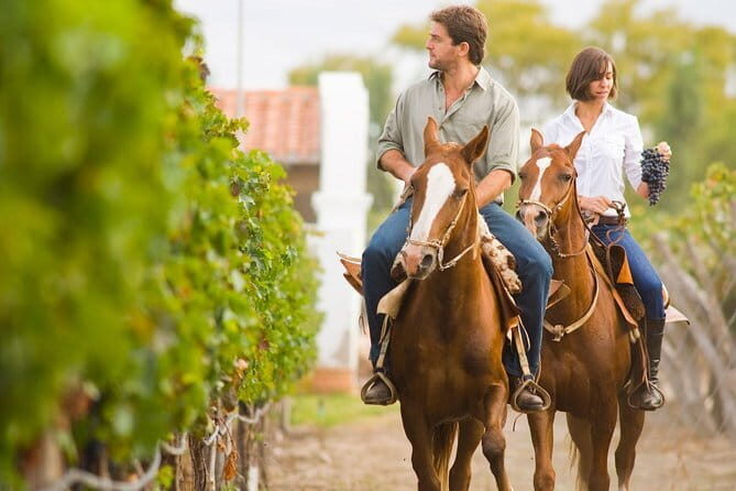 Private Chianti with Lunch Half Day from Florence - The Tuscan lunch: where the day gets real (and practical)