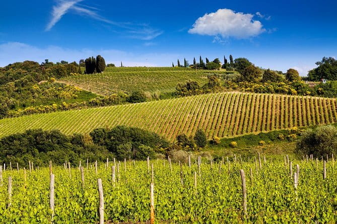 Private Classic Wine Tour in Chianti from Florence - Key highlights to look for before you book
