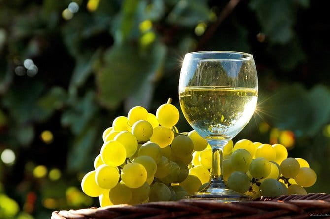 Private Classic Wine Tour in Chianti from Florence - Getting to Chianti Classico from Florence without the hassle
