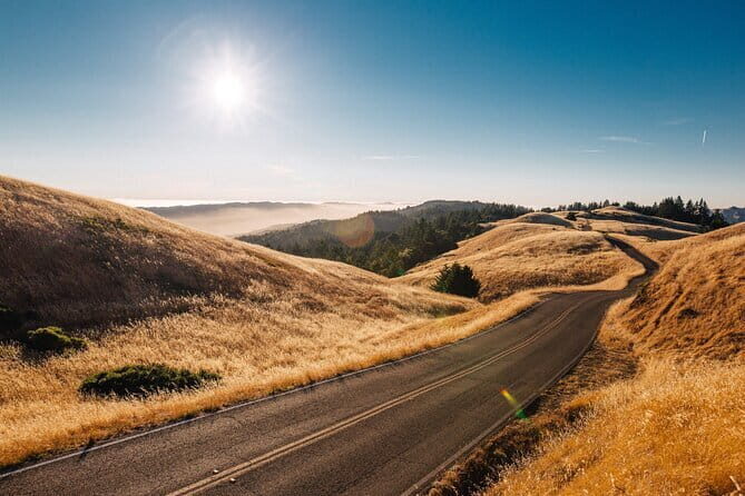 Private Day Tour from Florence to Pisa, Chianti and San Gimignano - The Chianti Wine Road Return: Views Without the Work