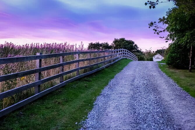 Private Day Tour from Florence to Pisa, Chianti and San Gimignano - Piazzale Michelangelo Sunset: A Simple Plan With Big Payoff