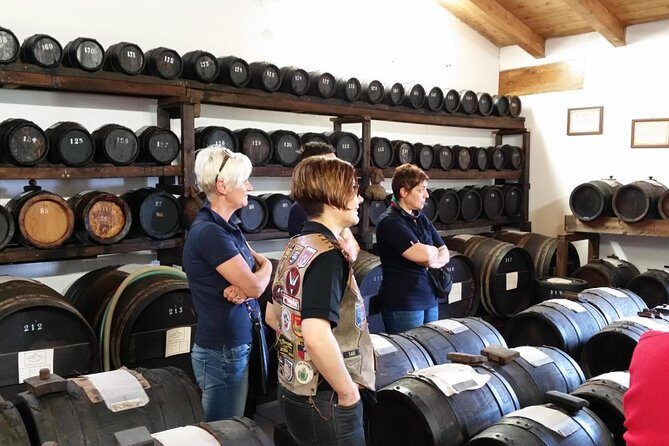 Private Day Tour & Lunch: Parmesan, Wine, and Vinegar Tasting - Key highlights worth planning around