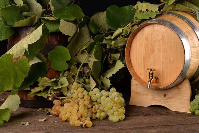 Private Day Tour & Lunch: Parmesan, Wine, and Vinegar Tasting - Wine tastings and the Lambrusco question