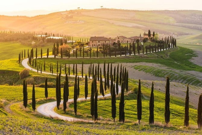 Private Day Trip Tuscany Landscape and Wine Tasting from Florence - Door-to-door Florence pickup and the rhythm of a 9-hour day