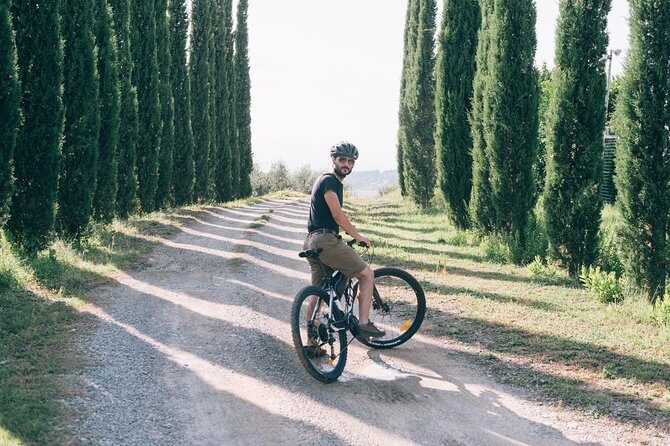 Private E-bike Tour in Chianti from San Gimignano - Key highlights I’d plan around