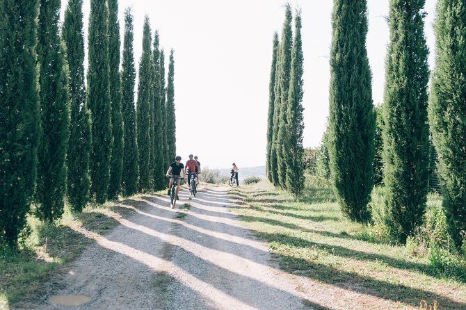 Private Ebike Tour in Chianti - Price and Value: What $370.26 Gets You in Chianti