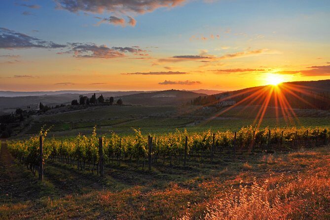 Private Florence and Chianti Wine countryside from Pisa Including Wine Taste - Value and pricing: what you’re paying for
