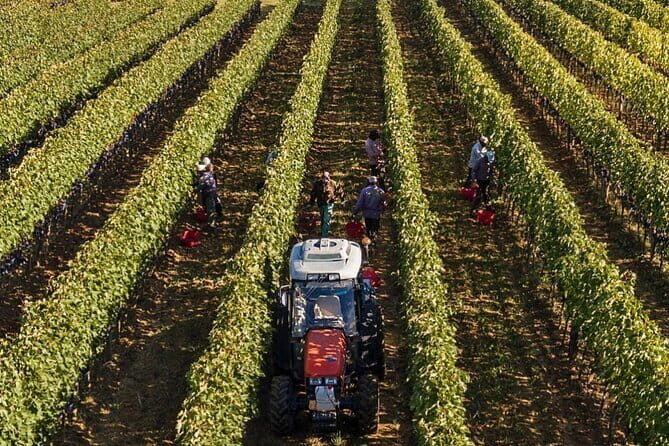 PRIVATE Full-Day Brunello Wine experience from Florence - Enoteca la Fortezza: a fortress wine shop and short, scenic payoff