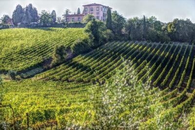 PRIVATE Full-Day Wine Experience in Chianti Classico. - Door-to-door Mercedes minivan with onboard Wi‑Fi: how comfort changes the day