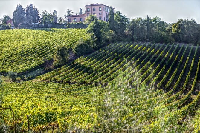 PRIVATE Full-Day Wine Experience in Chianti Classico. - Door-to-door Mercedes minivan with onboard Wi‑Fi: how comfort changes the day