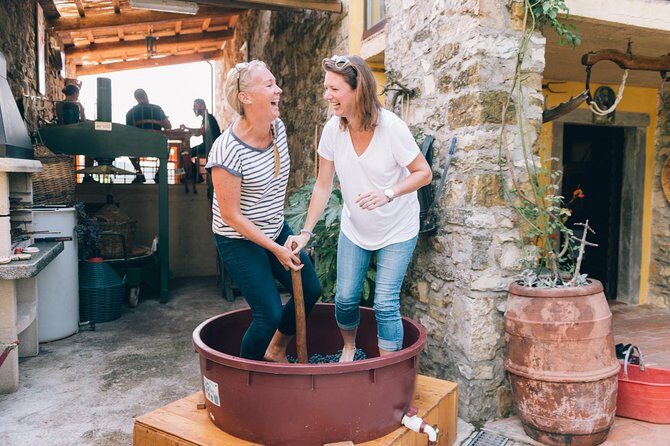 Private Grape stomping at Chianti Farmhouse - Key Highlights at Chianti Farmhouse
