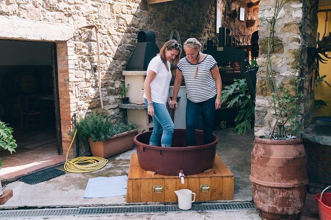 Private Grape stomping at Chianti Farmhouse - Grape Stomping the Traditional Way: Fun, Messy, and Real